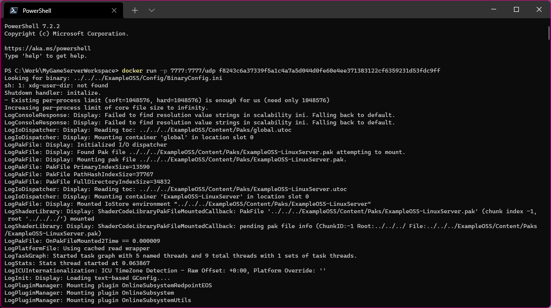 A screenshot of the start of the log output