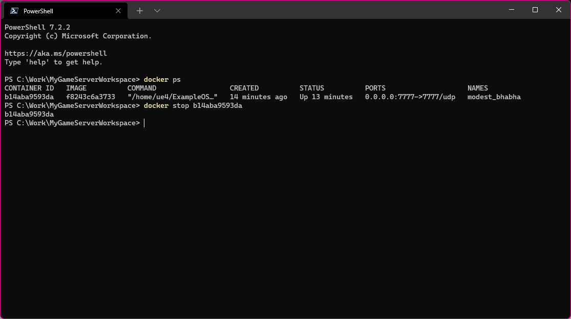 A screenshot of stopping the game server container